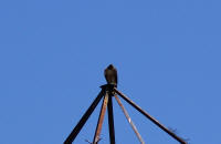 IMGP3787.JPG (476682 bytes)